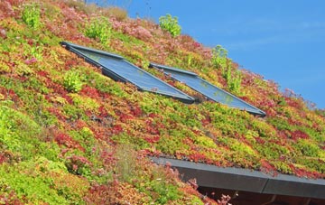 Dragons Hill living roof systems